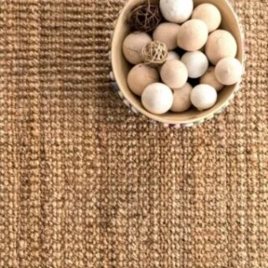 Sonia Collections Friendly India-Made Sisal Rug- 4x6 ft