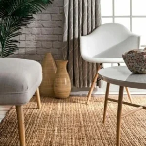 Sonia Collections Friendly India-Made Sisal Rug- 4x6 ft